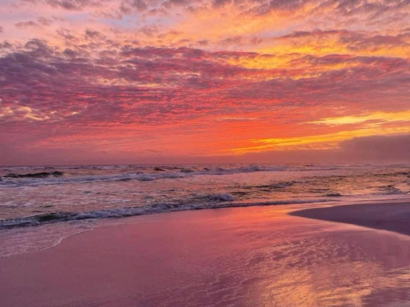 Sunrise Surprise 9Th Floor 2Br 2 Ba King Suite Beach Shuttle, Heated Pool! Destin Exterior photo